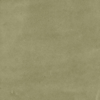 HARMONY SAMIRA SAGE 10х10 Q-73
