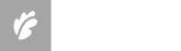 BOEN 2