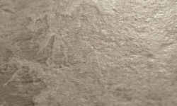 PORCELANOSA XTONE CAMOUFLAGE TEXTURE 160х160x0.6 G-1083 мини 3 4