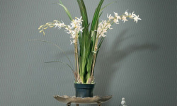 MILASSA КОЛЛЕКЦИЯ ICELAND. Ice 5 мини 3 4