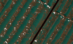 MUTINA CHAMOTTE QUADRA VERDE 7.2х21.3x1.07 мини 3 5