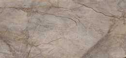 APAVISA WILD FOREST GREY NAT MIX 119.3х280 G-3397