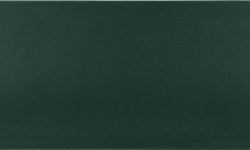 EQUIPE VIBE NEWPORT GREEN MATT OUT 6.5х20 EQ-4 мини 1