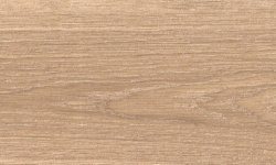 PORCELANOSA LONDON ARCE 23х200 G-394 мини 1