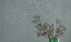 MIRAGE DOVE NG 06 MIYU 30х30x0.2 мини 3 4