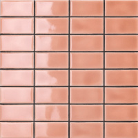 MUTINA DIN ROSE GLOSSY 30.2х30.2 (3.6x7.4)