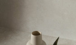 PERONDA GROUND BONE SP 100х275 BN-141 мини 3 3