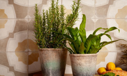 PERONDA FS FARFALLA MUSTARD 45х45x0.95 BN-14 мини 3 2