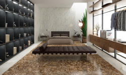 APAVISA PETRIFIED WOOD POLISHIED 59.55х119.3 G-1442 мини 3 3