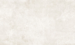 PERONDA CHARME BONE AS 60х120x0.9 BN-116 мини 1