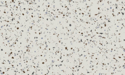 APAVISA SOUTH WHITE NATURAL 99.55х99.55 G-7268 мини 1