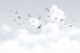 MILASSA КОЛЛЕКЦИЯ AMBIENT VOL.3. Spring Swallows AM11