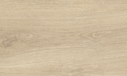 MUSEUM BLOOM DUNE SP 24х151x0.9 M-104 мини 3 2