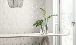 WILD 0.53х10.05 мини 3 2