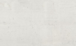 APAVISA CASSERO WHITE NATURAL 119.3х300х6 G-3381 мини 3 6