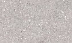 PORCELANOSA CORAL ACERO 45х120 G-270 мини 1