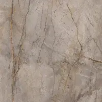 керамогранит APAVISA WILD FOREST GREY NAT MIX 119.3х119.3 G-3397