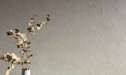 PERONDA AVIGNON BONE ST 100х275x0.6 BN-170 мини 3 7