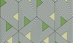 WILD 0.53х10.05 мини 1