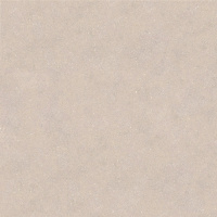 PORCELANOSA TERRA TOPO L 120х120 G-392
