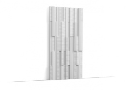 ORAC 3D ПАНЕЛЬ 250х16х2000