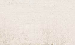 HARMONY LAGOON SAND 6х24.6 Q-45 мини 3 3