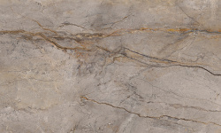 APAVISA WILD FOREST GREY POLISHED 59.55x119.3 G-1442 мини 1