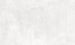 PERONDA DOWNTOWN WHITE SP/R 33.3х100 BN-8 мини 1