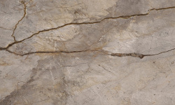 APAVISA WILD FOREST GREY POLISHED BL-B 119.3х260 G-3495 мини 1