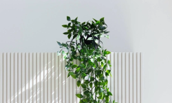 ORAC 3D ПАНЕЛЬ 248х15х2 000 мини 3 3