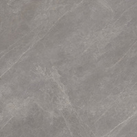 PORCELANOSA MYSTIC GREY L 120х120 G-392