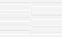 HARMONY RAS WHITE 20х40 Q-42 мини 1