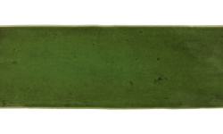 EQUIPE FANGO GREEN GLOSS 5х15 EQ-10D мини 1