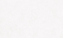 PERONDA MANHATTAN WHITE SP 100х275 BN-142 мини 1