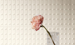 MUTINA PUNTO UP MATT WHITE 21.1х31.5 мини 3 5