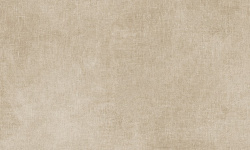 PORCELANOSA GASA TOPO 45х120 G-270 мини 1