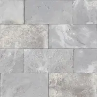 керамическая плитка L'Antic Colonial LANTIC COLONIAL FIJI SILVER 10х20x0.85 G-226