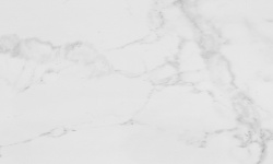 PORCELANOSA CARRARA BLANCO NATURAL 59.6x120 G-369 мини 1