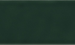 EQUIPE COSTA NOVA LAUREL GREEN 5х20 EQ-3 мини 1