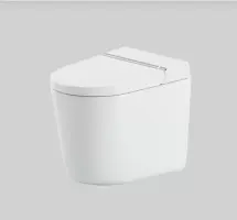 Artceram ART CERAM HYPE Умный напольный унитаз 38x59 см, крышка биде в комплекте, белый SANIGLAZE
