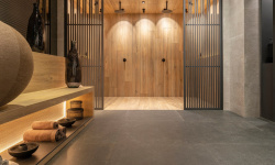 PORCELANOSA TANZANIA ALMOND 23х150 G-385 мини 3 6