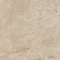APARICI IMARBLE BRECCIA LAPPATO 59.55*59.55 G-3330