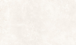 PERONDA GROUND BONE SF/R 60х60x0.9 BN-33 мини 1