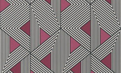 WILD 0.53х10.05 мини 1