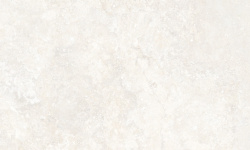 PERONDA AVIGNON BONE ST 100х100x0.8 BN-50 мини 1