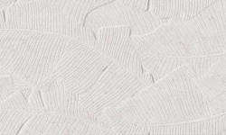 COLORKER VERONA BOTANIA WHITE 31.6х100 M-77 мини 1