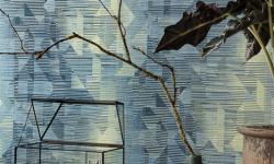 WILD 0.53х10.05 мини 3 3