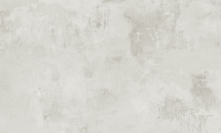 APAVISA MOOD WHITE NATURAL 49.75х99.55 G-7162 мини 3 2