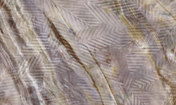 APARICI VIVID RED LOUISE FLORET 29.75х99.55 G-599 мини 1