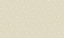 ESSENCE 0.68х8.23 мини 1